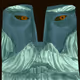 Aeteon Dux