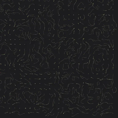 103166270745688407231930057164360568292907528057611223947949351146874145341441