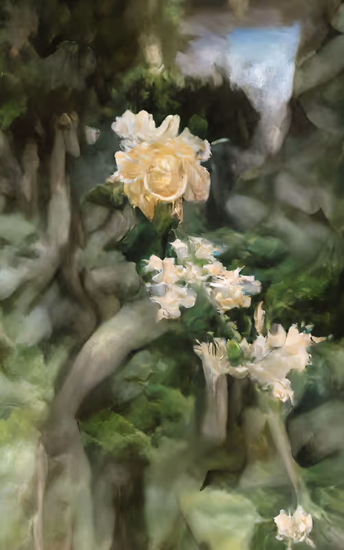 Item #104581514907444894562061614506536084758527641707317714785037661288289468940289 Media