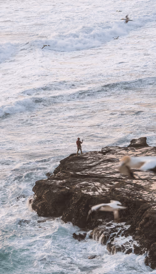 Item #60998420727018390083984096453884096128162625379406694824409400108930606039041 Media