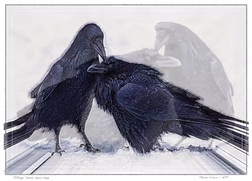 Item #113829610119937179277145653237989536661159515398728099625049874643572404256769 Media