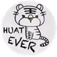 6216225654828198257102773832121918750360002643656645072309525753219273195521