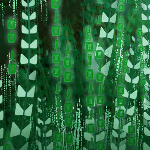 Binaryfields