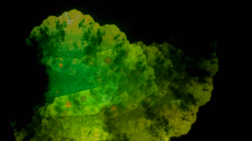 Item #67457553150443021914092587022250176347061355639032054621716075727669700853761 Media