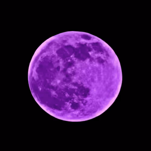 101983409700396166080613188018216707096235636634703201961680544329189931614209