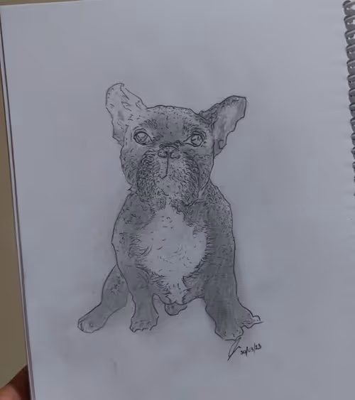 Item #23396350056487218382073417475626111406700452396604076066548647325823383109633 Media