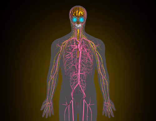 Item #85616260800140778956581373911837214761326127764924071871020287165037209976833 Media