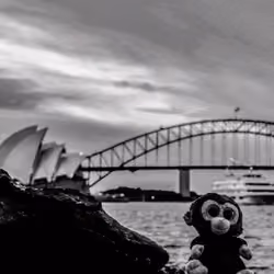 Caeser in Sydney