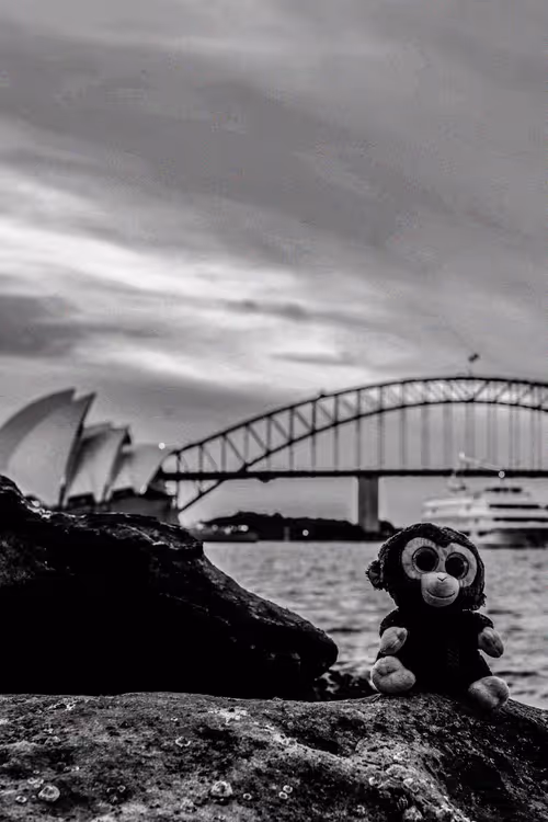 Item #78523124948883737191824425685370443041181342440538518293301156660268062736385 Media