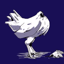 #97