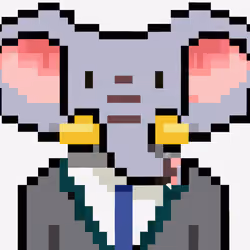 Summer Analyst Elephant