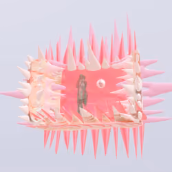 𝗡𝗨𝗣𝗧𝗔 𝗖𝗔𝗗𝗔𝗩𝗘𝗥𝗔 [PINK]