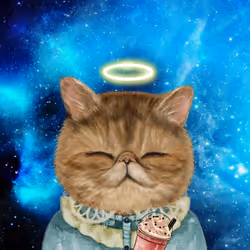 63588752515642770477067191287288803913526852218898202821012584858512177233921