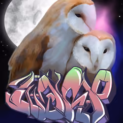 Owl Make It