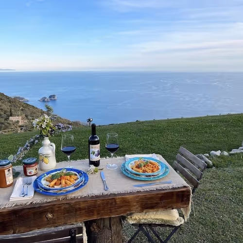 Untitled Collection #2173013759