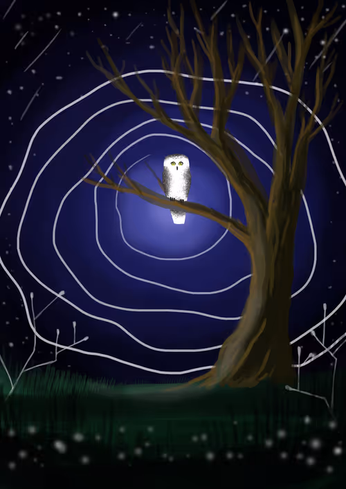 Item #7256243056531702104159472949877510288821453717884123468615994710685495853057 Media