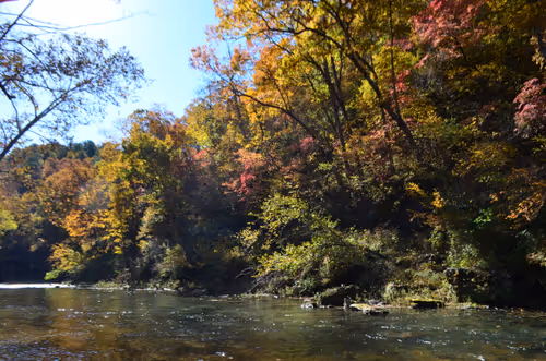 Item #97703427282030741984022634986911983897204836568735072395572896073312490225665 Media