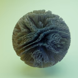 Flora #30 - Sharpening Mind