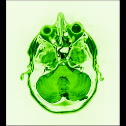 64162533542198579898252916190583583845604629893829087458582975961296785113089