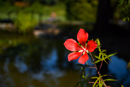 Item #44024487065254451978341284796523308956461514990321328857199441233285740494849 Media