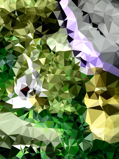 Item #31310848645098346861030005814963531857068613741481674330330247671085306740737 Media