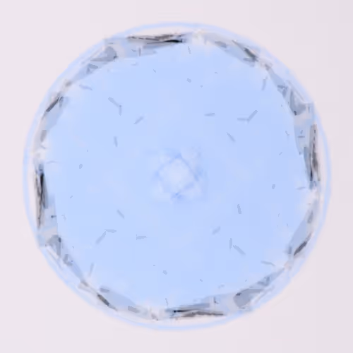 Item #56973419019861600765457047389383188289079904378367063993006434982020541054977 Media