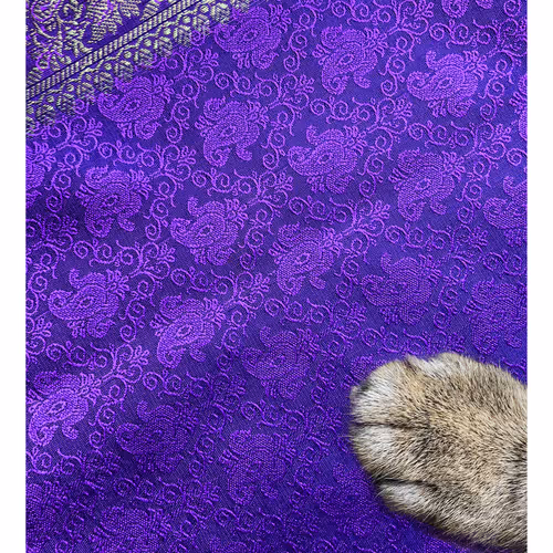 Ithinkyoushouldpaws