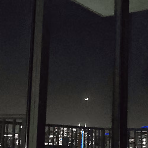 Crypto UFO of the 4th Kind