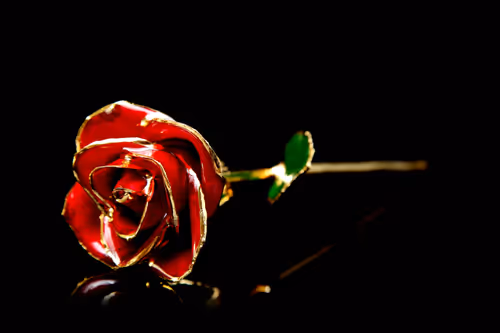 Item #22969295015453494261367825121290153757090535459802507599951433494750778359809 Media