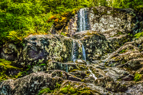 Item #78614967916850878758896281278088562819031429561597845143063368075075502735361 Media