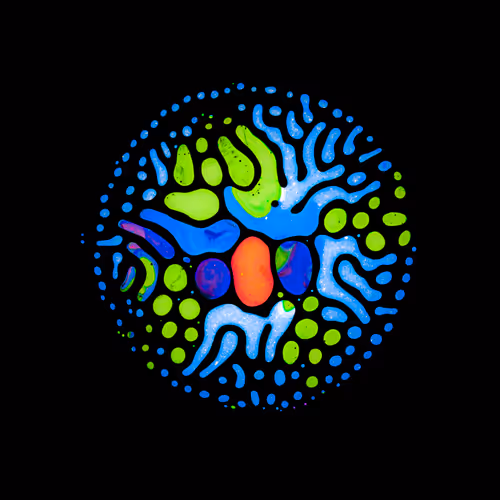 Item #39853347361311550538823328626004824816221754573894422864413753522105180225537 Media