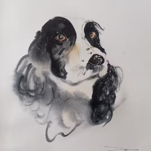 Untitled Collection #284520656