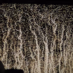 Dirtmap #1359