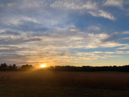 Item #112539480559386879026718304796177303960672733391150842661969334718167359946753 Media