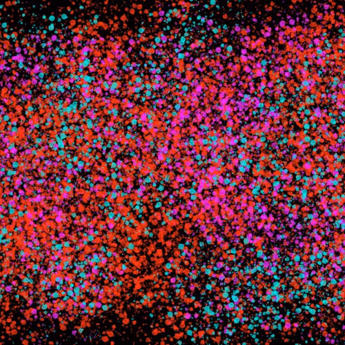 944858660688572096584618472555991747686703840338442188877309501604454465537