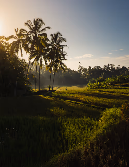 Item #70752512074221398135283330563893228865636439964240069417806288684931658809345 Media