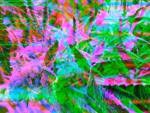 Item #83970981387443879143921485150900069530799783516997234463864977569971680837633 Media