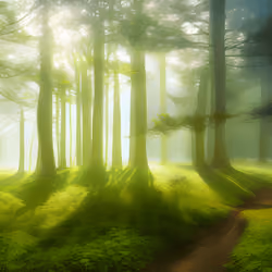 Seasons #86
