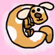 88493950850022053526763100418276642904161921035279799254788016916616787787777