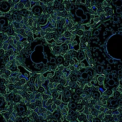 87353216888022099964370645107572389874129925836752805213271095528730461732865