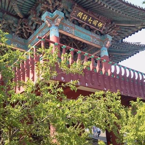 Kisemin96 Collection