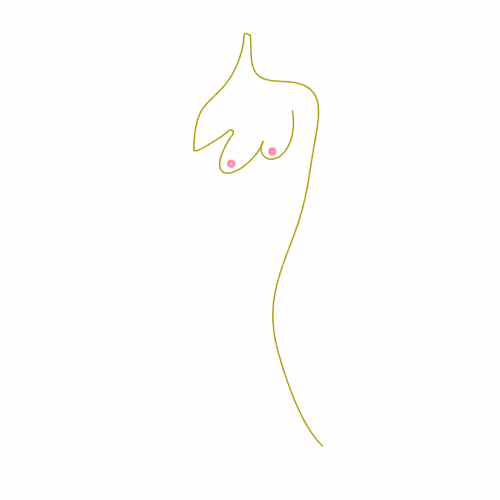 NF TITS