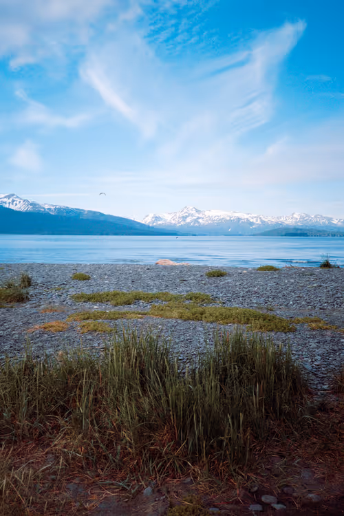 Item #86204936525623062478772312076709802278598486618652010465124009074612540276737 Media