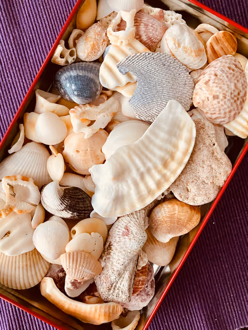 Item #113878984916961174745364683224813624394039454601002665146284580033048617156609 Media