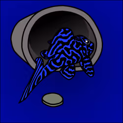 81664083123670143983968740139941474364733981378414170565535211940247483973633