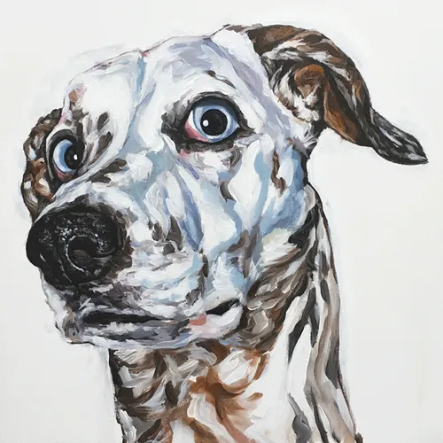 Item #111426397768687495074212779570464875826872703160422642189858348524404482244609 Media