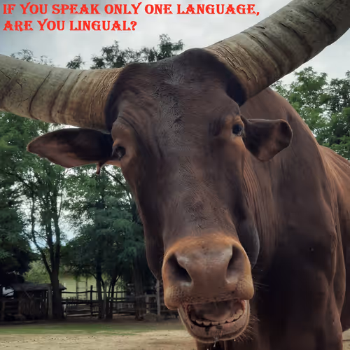 51313302132644519913343847646347811445510524411913136629935896399162380386305