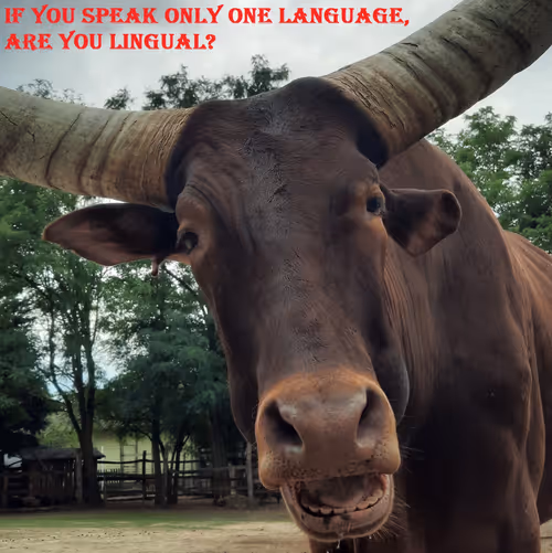 Item #51313302132644519913343847646347811445510524411913136629935896399162380386305 Media