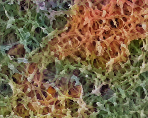 Item #22177301469207423034343584871570086378673375420367340164683847219873081982977 Media