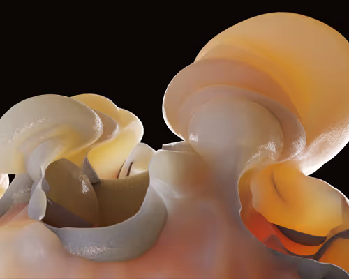 87858548873057691610145785827924316116903784724900626045837508992611100131329